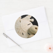 Witte schelpen en zanddollar ronde sticker (Envelop)