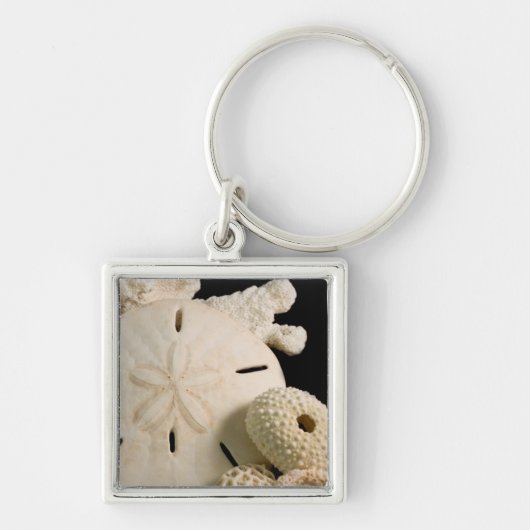Witte schelpen en zanddollar sleutelhanger (Voorkant)