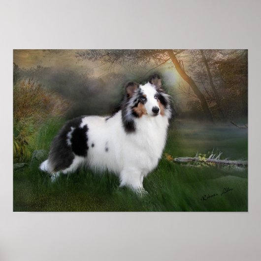 Witte schelpen poster (Voorkant)