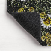 WITTE SCHIJVEN, GEEL CENTRUM/DIGITALE EFFECTEN/FOT MUISMAT (Hoek)