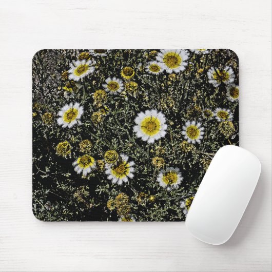 WITTE SCHIJVEN, GEEL CENTRUM/DIGITALE EFFECTEN/FOT MUISMAT (Met muis)