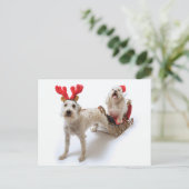 Witte Schnoodle staat met rode kerst Feestdagenkaart (Staand voorkant)
