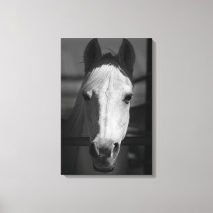 WITTE SCHOONHEID 16x24 Canvas Afdruk