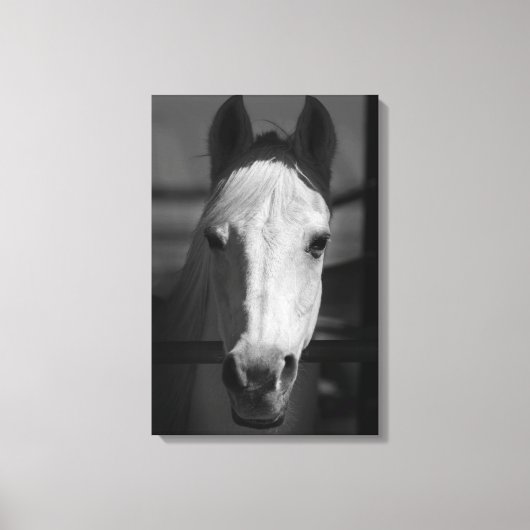 WITTE SCHOONHEID 16x24 Canvas Afdruk (Voorkant)