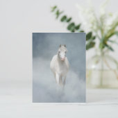 witte schoonheid briefkaart (Staand voorkant)