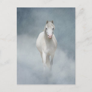 witte schoonheid briefkaart