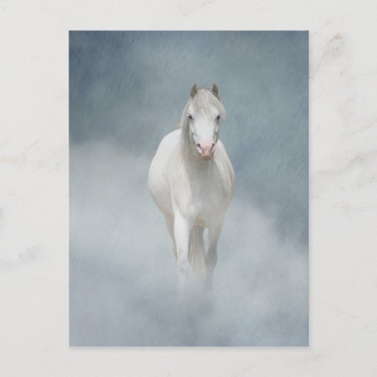 witte schoonheid briefkaart (Voorkant)