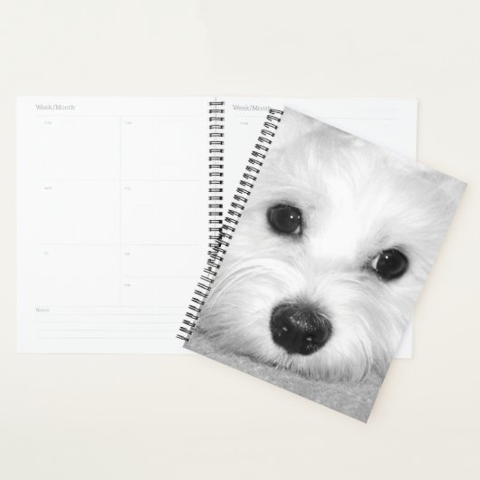 Witte Schoonheid Maltese Hond Mam Planner (Display)