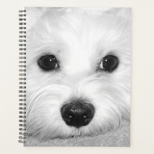 Witte Schoonheid Maltese Hond Mam Planner (Voorkant)