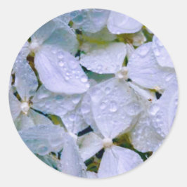 Witte schoonheid ronde sticker