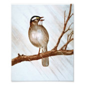 Witte schroefdraad foto afdruk (Voorkant)