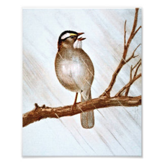 Witte schroefdraad foto afdruk