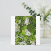 Witte sering bedankkaart (Staand voorkant)