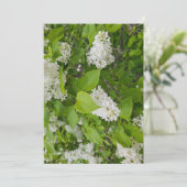 Witte sering kaart (Staand voorkant)