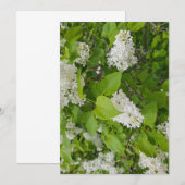 Witte sering kaart (Voorkant / Achterkant)