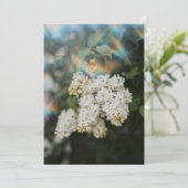 Witte Seringbloemen met Regenboog Flare kaart (Staand voorkant)