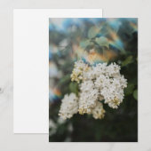 Witte Seringbloemen met Regenboog Flare kaart (Voorkant / Achterkant)
