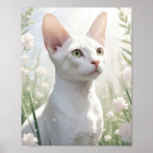 Witte Sfinx Kat en Bloemen Poster