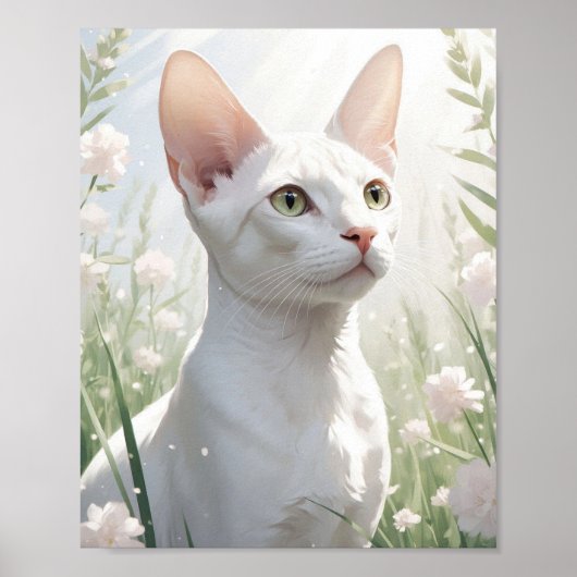 Witte Sfinx Kat en Bloemen Poster (Voorkant)