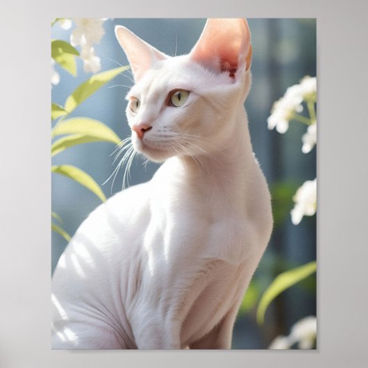 Witte Sfinx Kat en Bloemen Poster (Voorkant)