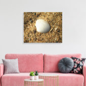 Witte Shell op de strand Canvas Afdruk (Insitu (Woonkamer))