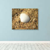 Witte Shell op de strand Canvas Afdruk (Insitu (Houten vloer))