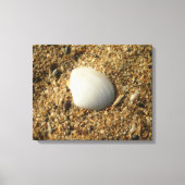 Witte Shell op de strand Canvas Afdruk (Voorkant)