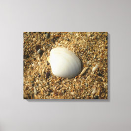 Witte Shell op de strand Canvas Afdruk