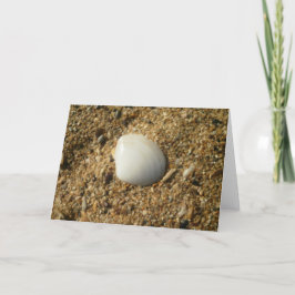 Witte Shell op de strand Kaart