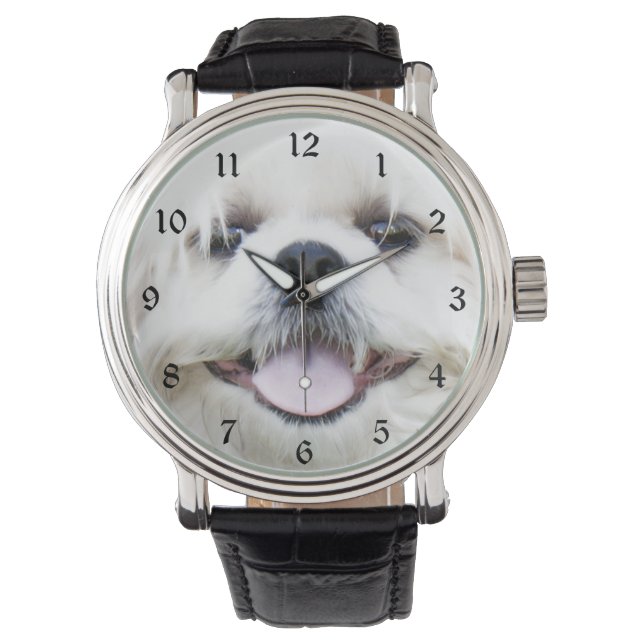 Witte shih tzu gezicht horloge (Voorkant)