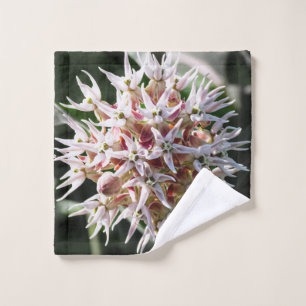 Witte Showy Milkweed, Bloemenfotografie Washandje