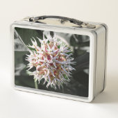 Witte Showy Milkweed, Delicate Wildflower (Achterkant)