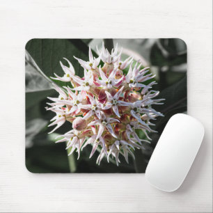 Witte Showy Milkweed, Wilde Bloemenfotografie Muismat