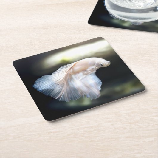 Witte siamese gevechtsvis kartonnen onderzetters (Schuin)