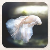 Witte siamese gevechtsvis kartonnen onderzetters (Voorkant)