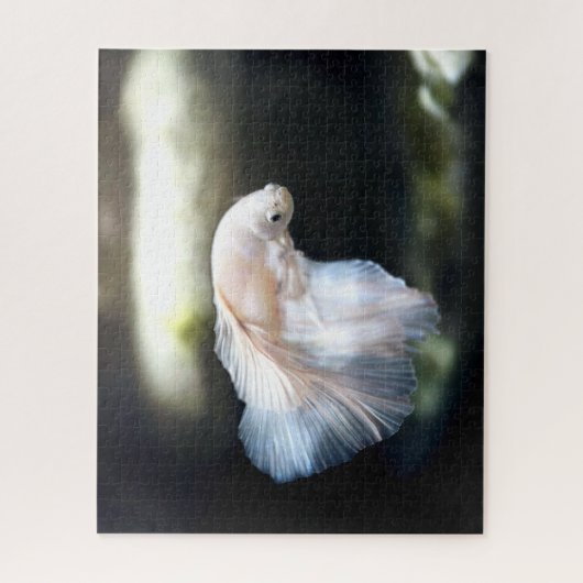 Witte siamese gevechtsvis legpuzzel (Verticaal)