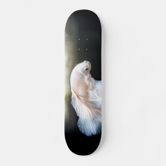 Witte siamese gevechtsvis persoonlijk skateboard (Voorkant)