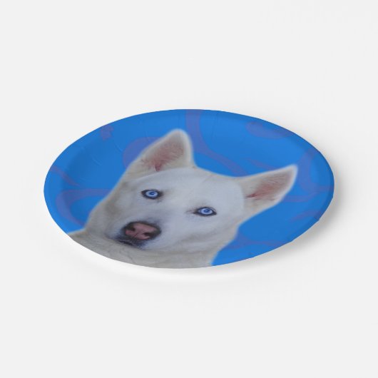 Witte Siberisch Husky Paper Bord (Gekanteld)