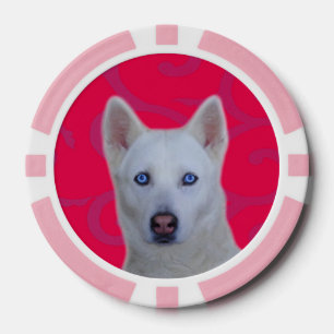 Witte Siberische Husky Clay Poker Chips, roze stre Chips
