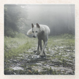 Witte Siberische Husky Glazen Onderzetter