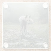 Witte Siberische Husky Glazen Onderzetter (Achterkant)