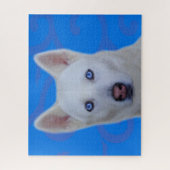 Witte Siberische Husky Legpuzzel (Blauw BG) (Verticaal)