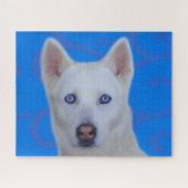 Witte Siberische Husky Legpuzzel (Blauw BG) (Horizontaal)