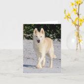 Witte Siberische husky notecard Kaart (Gele Bloem)
