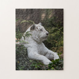 Witte Siberische tijger Legpuzzel