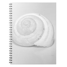 Witte slakkenhuis minimalistische natuur fotografi