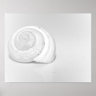 Witte slakkenhuis minimalistische natuur fotografi poster
