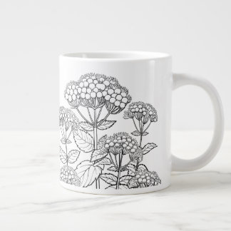Witte Snakeroot - Ageratina altissima - Inheems Grote Koffiekop
