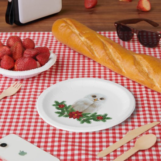 Witte Sneeuw Kerstuil Papieren Bordje (Picknick)