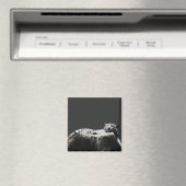 Witte sneeuw Tijger - Big Cat slapen Magneet (Insitu (Vaatwasser))
